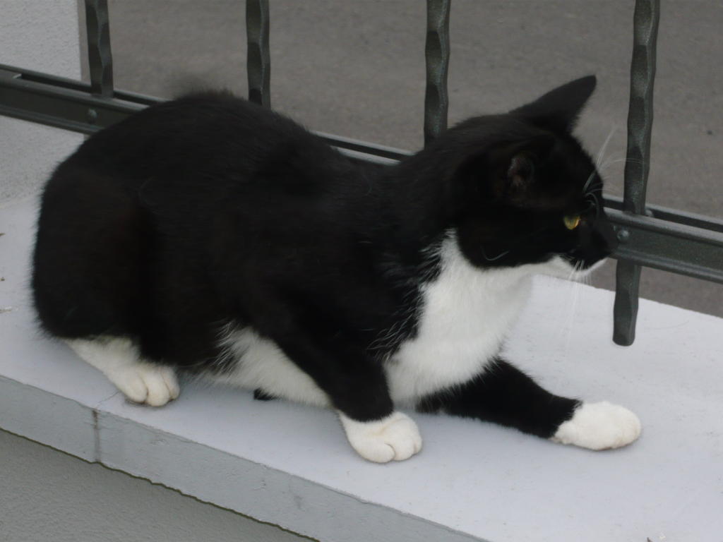 Pummpaelzhof