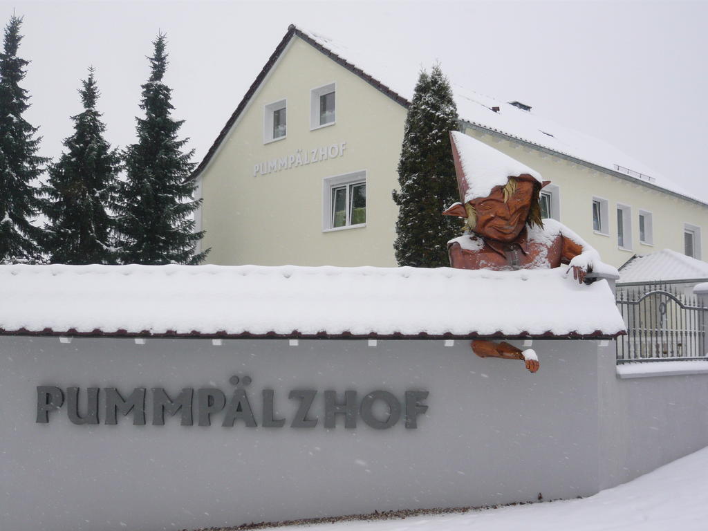 Apartment Pummpaelzhof *